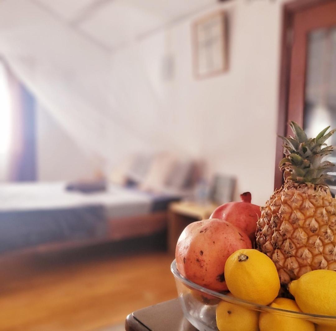 Sannyasa Wellness And Spa 트루오비슈 외부 사진
